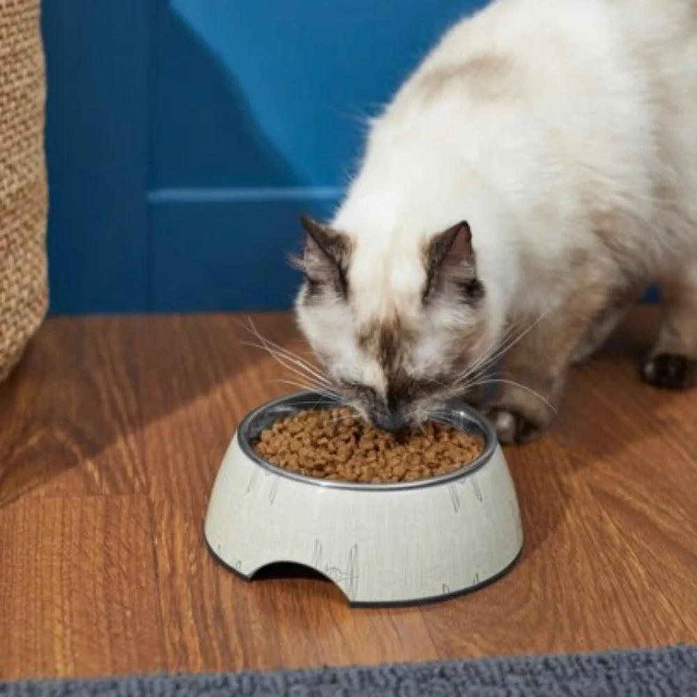 Lrge Star Wars Pet Bowl